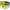Green - Orange Mirror, variant on Boys Kids Size 80s Paint Splatter Oversize Rimless Sport Plastic Sunglasses Blue - Blue Mirror