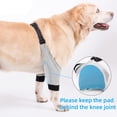 thumbnail image 4 of Tineer Dog Recovery Sleeve Protector Front Legs Joint Soft Padded Dog Brace Sleeve Pet Dog Leg Wounds Protection for Small Medium Dogs(S), 4 of 7