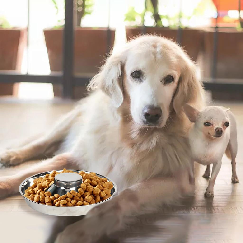 Bvdfgk 1x Durable Pet Slow Feeder Stainless Steel Bowl Food Feeding Dog Cat Silver Anti M 30cm