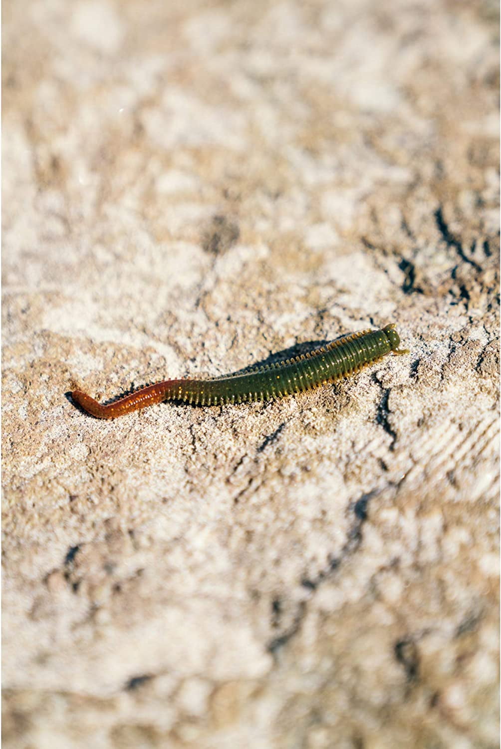 Berkley Money Badger, 6.25 (1/3 oz), Ghost Morning Dawn, Crankbait