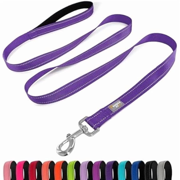 Eryueer Dog Leash 6 FT Padded Handle Nylon Reflective Dogs Leashes for Small Dogs Puppy Leashes Purple