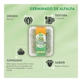 thumbnail image 4 of Germiando de Alfalfa San Francisco 200 GR, 4 of 4