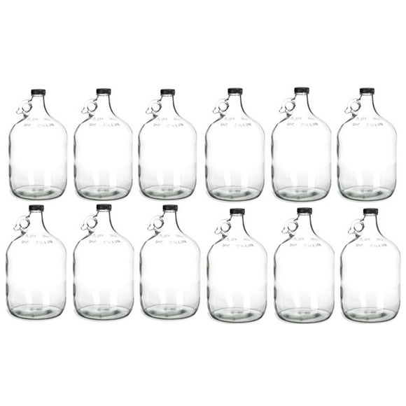 One Gallon Glass Jug