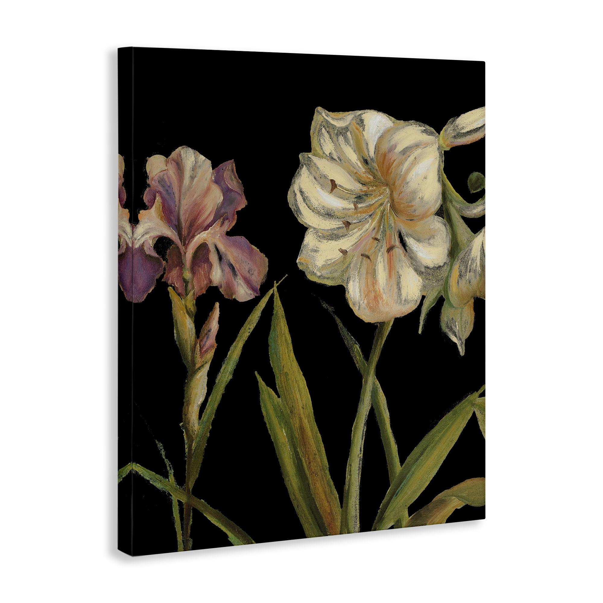 Stupell Industries Iris Flowers on Black Botanical & Floral Painting Gallery Wrapped Canvas Art Print Wall Art, 24 x 30