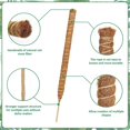 thumbnail image 5 of Hongchun Moss Pole Hemp Rope Non-deformed Sturdy Easy to Install Absorption DIY Bendable Plant Support Steels Indoor Outdoor 4pcs 60cm, 5 of 5