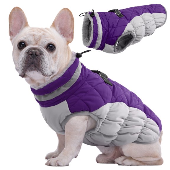 Kuoser Dog Winter Coat, Waterproof Windproof Fleece Padded Jacket with Reflective Trim and Leash Ring for Small Dogs, Purple, S
