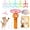 Orange, variant on Rechargeable Cat Toy Launcher with 10 Flying Discs, Interactive Fetch & Chase Toy for Indoor Outdoor Play, USB Powered Disc Shooter for Cats & Small Dogs, Orange