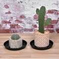 thumbnail image 5 of Unique Bargains 7' Plastic Wave Round Plant Pot Saucer Flower Drip Tray, Black 6 Pack, 5 of 5
