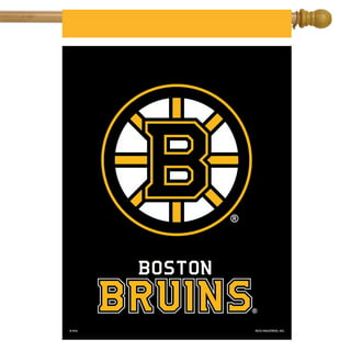 Boston Bruins TD Garden 3D Stadium Banner - 6x19