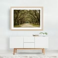 thumbnail image 6 of Wormsloe Oaks, Savannah - Savannah Georgia Photography Nature Landscape Forest Scenic Woodland Rural Botanical Unframed Wall Art Print 12 x 18 inches, 6 of 7