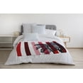 thumbnail image 3 of Simply Daisy Thin Stripe Palm Fleece Throw Blanket, Red, Standard Throw, 3 of 4