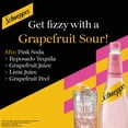 thumbnail image 2 of Schweppes Pink Soda 1L, Imported from Britain, 2 of 2