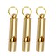 thumbnail image 1 of Silbatos de cobre para exteriores (3 unidades) con llavero retro., 1 of 6