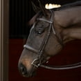 thumbnail image 4 of Henri de Rivel Pro Mono Crown Bridle with Padded Wide Noseband with Laced Reins, 4 of 4