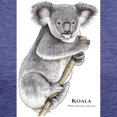 thumbnail image 3 of CafePress - Koala Women's Deluxe T Shirt - Womens Tri-blend T-Shirt, 3 of 4