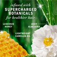 thumbnail image 4 of Herbal Essences Honey Daily Moisture Sulfate Free Shampoo, Nourishes Dry Hair, with Certified Camellia Oil and Aloe Vera, For All Hair Types, Especially Dry Hair, 4 of 14