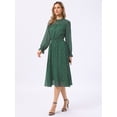 thumbnail image 4 of DARING DIVA Women's Chiffon Sheer Long Sleeve Smocked A-Line Dress S Deep Green, 4 of 5