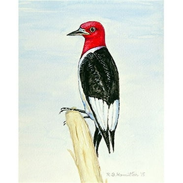 Betsy Drake  Synthetic Fiber Woodpecker 28-inch x 40-inch Flag