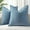 Blue, variant on Couch Throw Pillow Covers 18x18 Set of 2, Decorative Soft Euro Neutral Chenille Pillow Covers with Elegant Design for Sofa Bed Living Room Home Decor, Beige