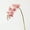 H, variant on Monebena 2PCS 27.2" Tall Cream Silk Orchid Stems Artificial Flower Stem Real Touch Flower For Wedding Decorations
