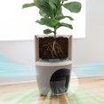 thumbnail image 3 of Dupray Bloom™ Medical-Grade HEPA-13 Air Purifier with Integrated Planter, 3 of 7