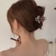thumbnail image 5 of Fiudx Ofertas Relámpago Pinza Para El Cabello Con Diamantes De Imitación, Diseño Flexible, Pinza Para Cola De Milano Para El Cabello Para Mujer, 5 of 5