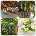 thumbnail image 4 of MasteelfCA 24pcs Plant Markers Plant Labels Acrylic Flower Identifying Succulent Labels, 4 of 8