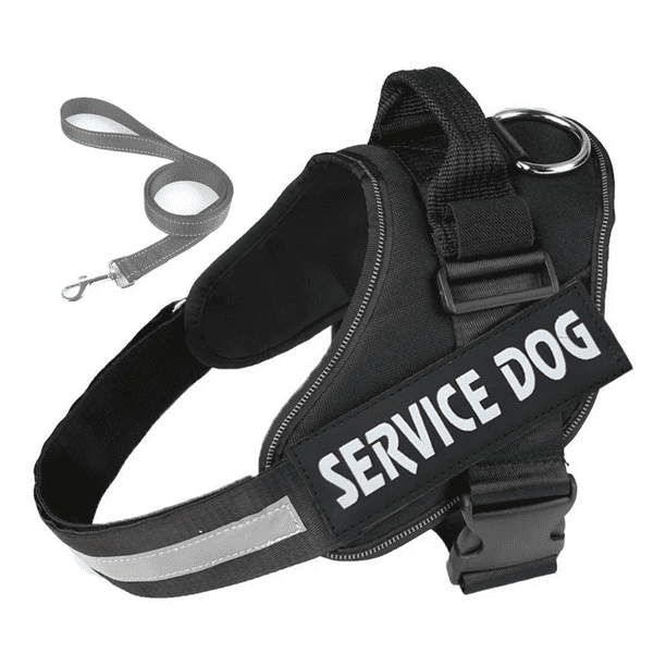 Pechera Arnes Comodo Regulable Con Correa Para Perro/gato Malubero Malu1028
