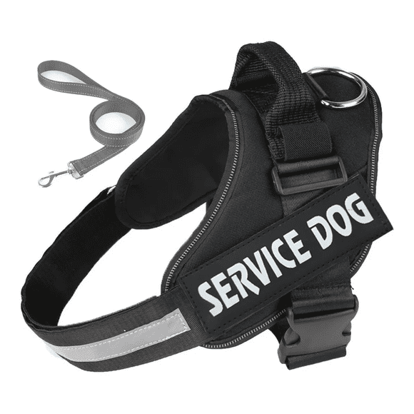 Pechera Arnes Comodo Regulable Con Correa Para Perro/gato Malubero Malu1028