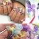 thumbnail image 5 of Naturaleza Muerta Decoración Uñas Flores Hojas Secas, Uñas, 5 of 5