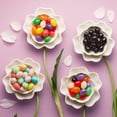 thumbnail image 5 of Brach's Classic Jelly Beans, Springtime Easter Candy, 7 oz, 5 of 5