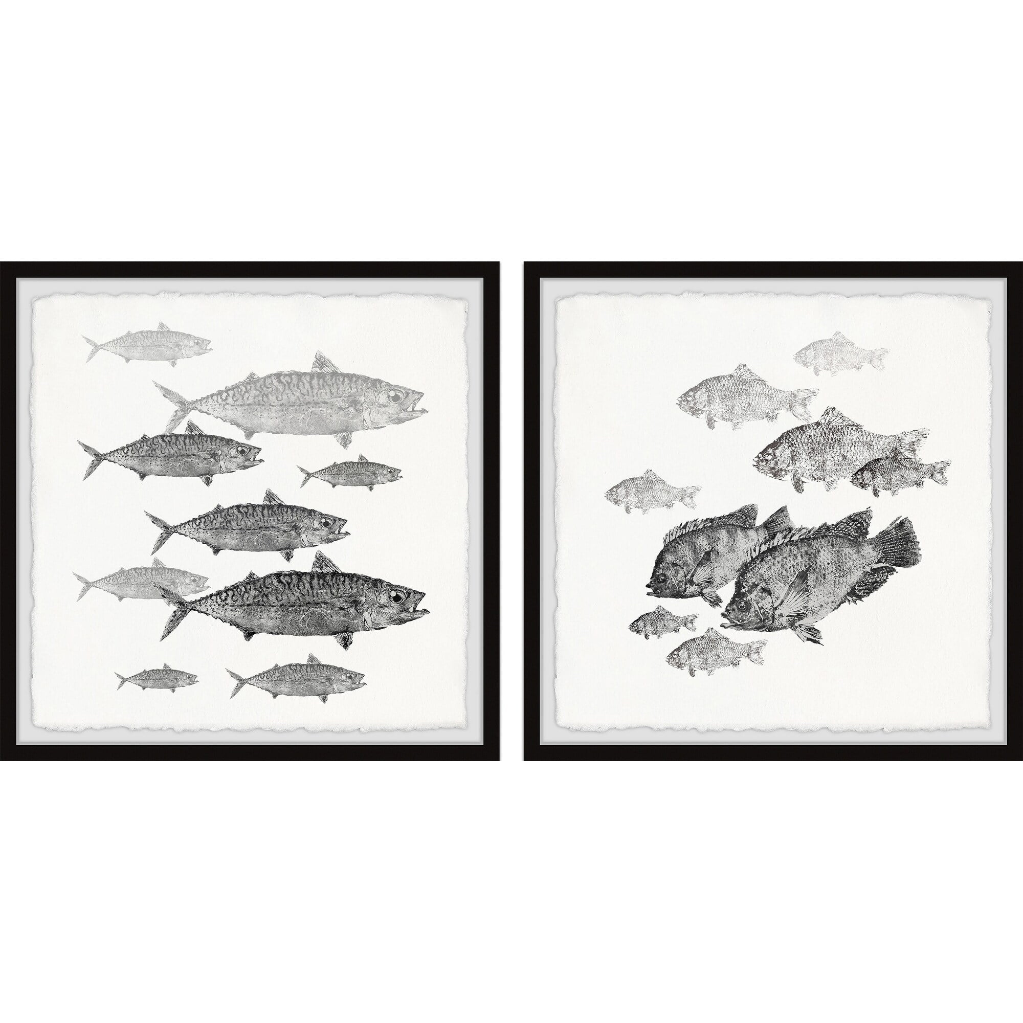 Marmont Hill Printed Fish Framed Art Prints, Set of 2, by Parvez Taj