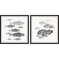 thumbnail image 2 of Marmont Hill Printed Fish Framed Art Prints, Set of 2, 2 of 4