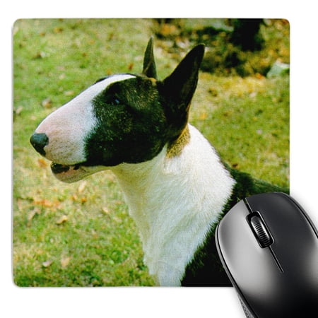 3dRose  Miniature Bull Terrier  MousePad price history on PriceWatchPro