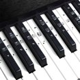 thumbnail image 4 of 49 61 Clavier Électronique 88 Touches Piano Numéroté Autocollant Note S2A8 P9B0, 4 of 6