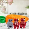 thumbnail image 3 of Sunjoy Tech 1/4Pcs Easter Ornament Adorable Cartoon Design Comfortable Touch Three Rabbits Carrot Wallets Bag Shape Doll Toy Decoration Home Decor, 3 of 8
