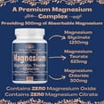 Triple Magnesium Complex 500mg from Magnesium Glycinate 1250mg