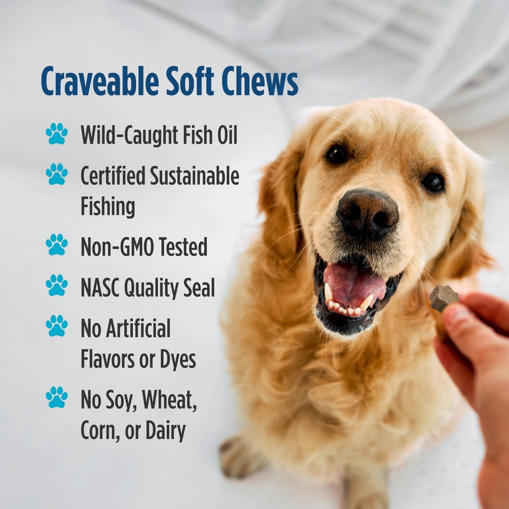 Nordic Naturals Pet Joint Support Soft Chews, Bone Broth Flavored, 30 Count