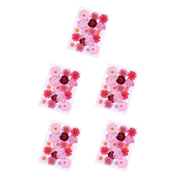Wosthever Flores secas Flores prensadas Decoraciones florales Hermosos accesorios de bricolaje Artículos para el hogar para tarjetas de boda flor roja flor roja 5piezas Wosthever CBP225325