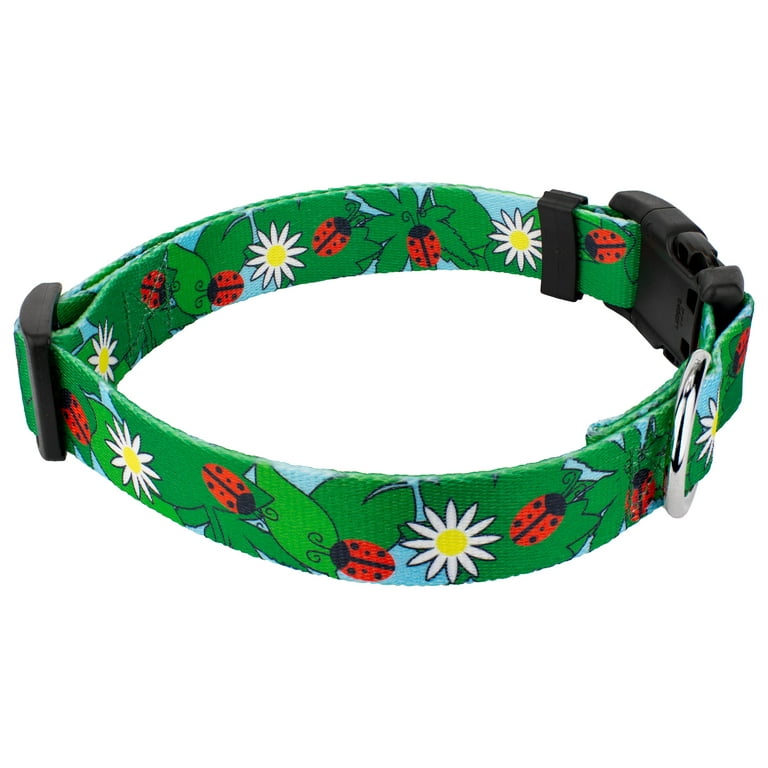Country Brook Petz Deluxe Ladybug Picnic Dog Collar and Leash