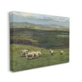 thumbnail image 4 of Stupell Industries Flock of Sheep Grazing Animals & Insects Painting Gallery Wrapped Canvas Art Print Wall Art, 20 x 16, 4 of 8
