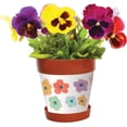 thumbnail image 5 of Snapins DIY Craft Flower Pots - Pack of 48 Planters, 5 of 6