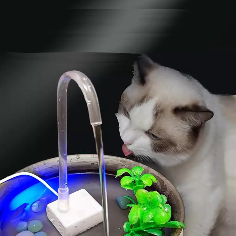 angled cat food bowls Elevated Cat Food Bowl, Ceramic Raised Cat Bowl, Tilt Angle Protect Ca   MJ's Pet Closet