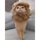 thumbnail image 2 of Disfraz de gato JAMW divertido sombrero de gato de melena para mascotas Sencillez, 2 of 3
