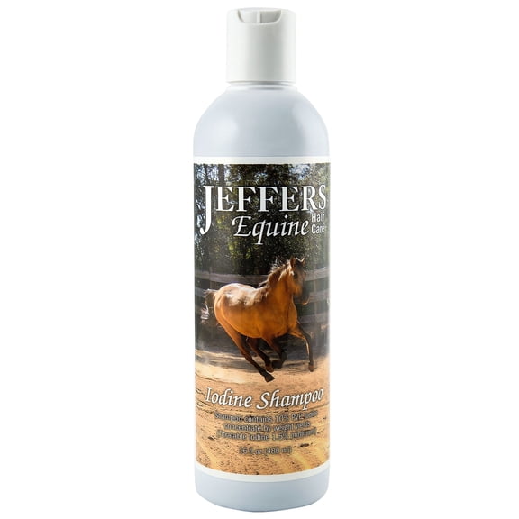 Jeffers Equine Iodine Shampoo for Horses, 16 oz - Deep Cleansing Grooming Soap, Coat & Skin Wash, Mane and Tail Care, Coconut Based Formula, Low Detergent, Barn & Travel Horse Shampoo