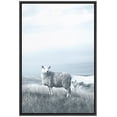 thumbnail image 3 of PixonSign Framed Canvas Print Wall Art Sheep in Mountain Field Animals Wildlife Photography Modern Art Farmhouse/Country Ultra Blue and White for Living Room, Bedroom, Office - 24"x36" Black, 3 of 5