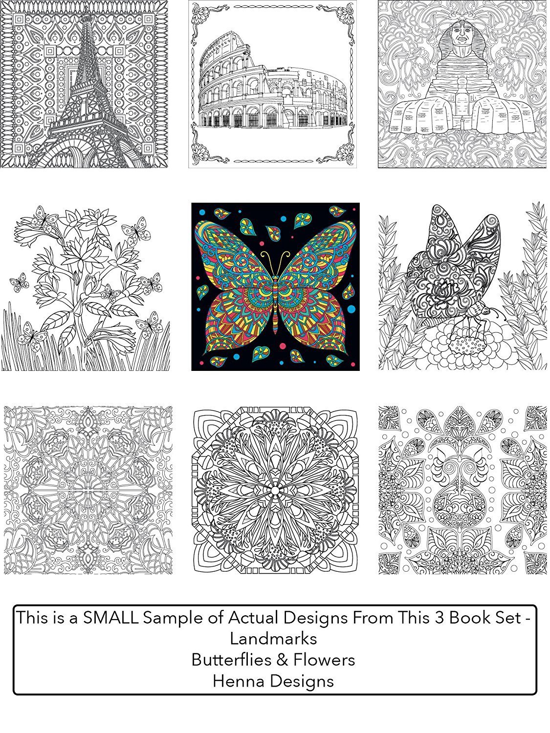 3 Book Set of Butterflies and Flowers, Henna, and Landmarks Adult Coloring Books