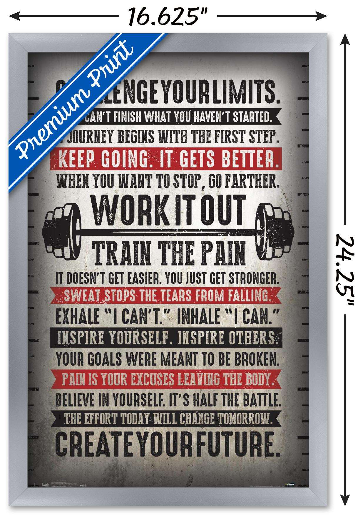 Challenge Your Limits Wall Poster, 14.725" x 22.375", Framed