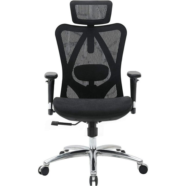Sihoo Ergonomic Office Chair Adjustable Head With Adjustable 3D Armrest And Lumbar Support With Breathable Mesh-M57