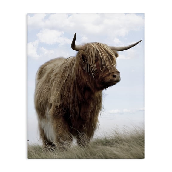 Stupell Industries Restful Look Highland Cattle Canvas Wall Art, design by Marcus Prime